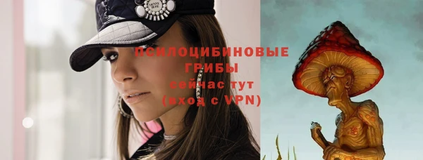 круглые Вязьма