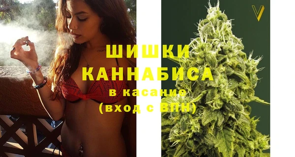 круглые Вязьма