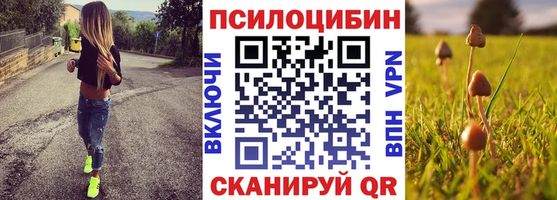 сколько стоит  маркетплейс наркотические препараты  Галлюциногенные грибы Magic Shrooms  Серпухов 